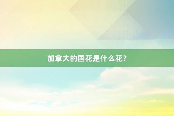 加拿大的国花是什么花？