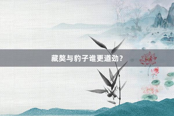 藏獒与豹子谁更遒劲？