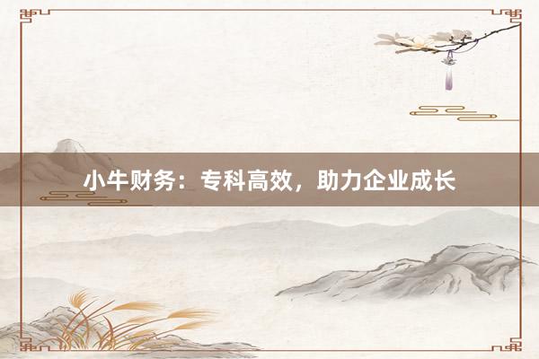 小牛财务：专科高效，助力企业成长